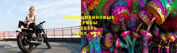 прущий лед Арсеньев