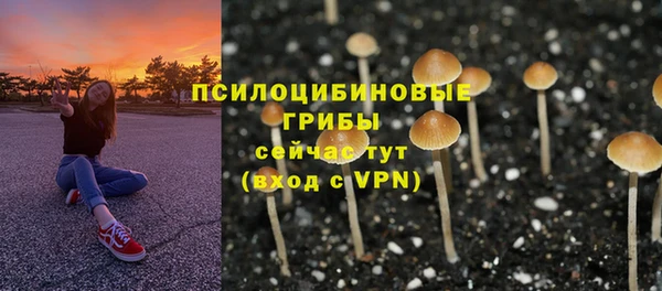 2c-b Аркадак