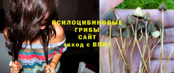 прущий лед Арсеньев