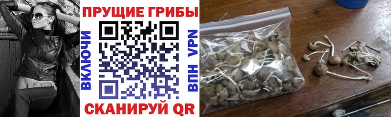 продажа наркотиков  Окуловка  Галлюциногенные грибы GOLDEN TEACHER 